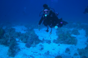 THE QUAY (SHARM EL SHEIJ) -  Sharm el sheij Egipto foto 3