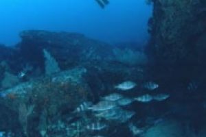 CANTABRICO, GETARIA, EL SAPO - Gipuzkoa Getaria España foto 1