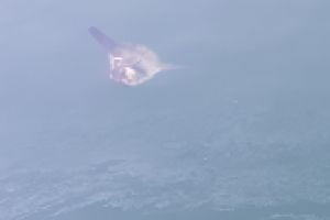 CANTABRICO, GETARIA, EL SAPO - Gipuzkoa Getaria España foto 3