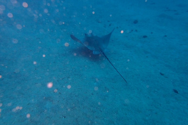 MUSEO ATLANTICO - PLAYA BLANCA -  LANZAROTE - Las Palmas Playa Blanca España