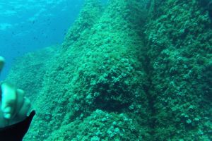 PUNTA MALGRATS - Baleares Calvià Spain foto 5