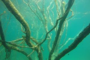 LAGUNAS DE RUIDERA - CIUDAD REAL - Ciudad Real Ruidera Spain foto 3