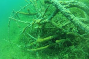 LAGUNAS DE RUIDERA - CIUDAD REAL - Ciudad Real Ruidera Spain foto 5