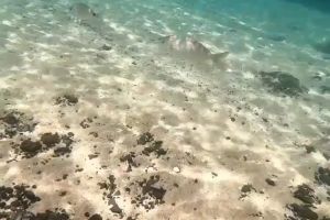 PAPAGAYO - PLAYA BLANCA - LANZAROTE - Las Palmas Playa Blanca Spain foto 4