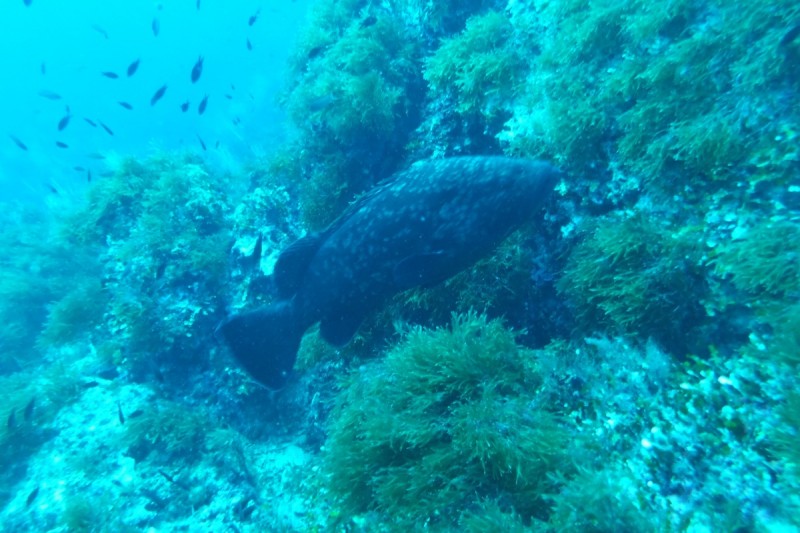 PILES 2,CABO DE PALOS - Murcia Cabo de palos España