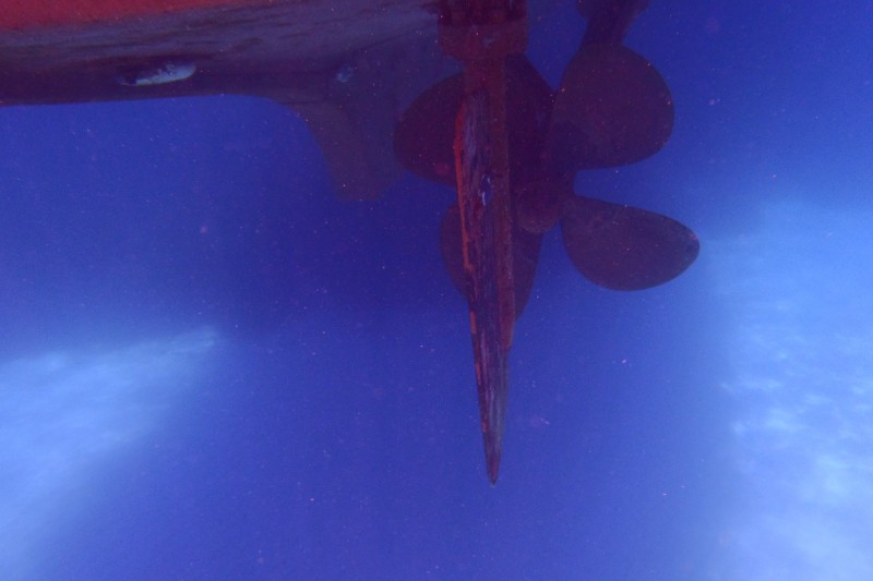 MALGRATS - SANTA PONSA - MALLORCA - Baleares Calvià España