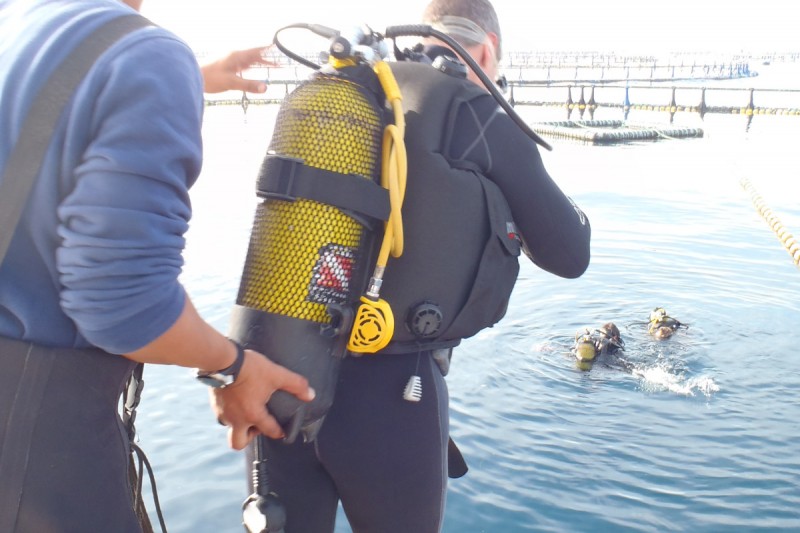 PISCINAS BALFEGO - L´AMETLLA DE MAR - TARRAGONA - Tarragona L'Ametlla de Mar España