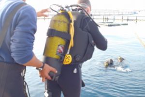 PISCINAS BALFEGO - L´AMETLLA DE MAR - TARRAGONA - Tarragona L'Ametlla de Mar España
