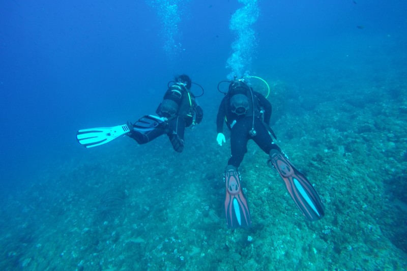 LAS TRES CALES - L´AMPOLLA - TARRAGONA - Tarragona L'Ametlla de Mar España