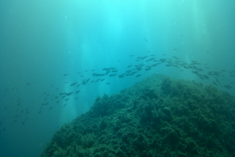 PLAYA DE LA HERRADURA - GRANADA - Granada La Herradura España