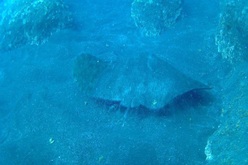 LA HERRADURA - LA RESTINGA - EL HIERRO - Santa Cruz de Tenerife La restinga España