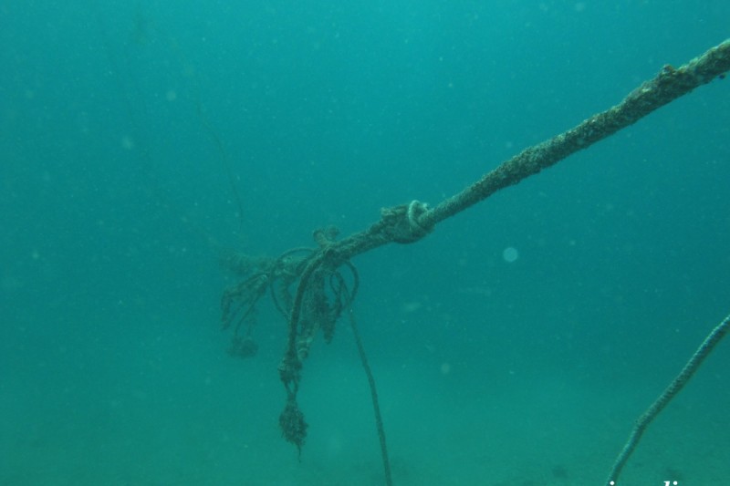 EL EMBARCADERO, CALAHONDA, GRANADA -  Calahonda España