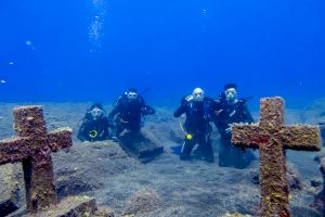 El grupo | LA PALMA, CRUCES DE MALPIQUE - Santa Cruz de Tenerife PLAYA ECHENTIVE España foto 3