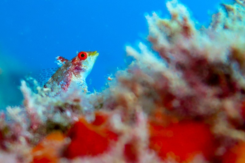 ESCOMBRERAS - CARTAGENA - Murcia Cartagena España