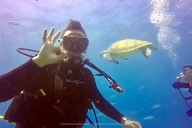 LOS CRISTIANOS - Santa Cruz de Tenerife Los cristianos España