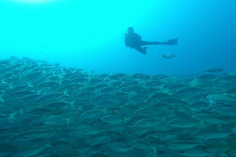 LAS PALMAS/ ARINAGA/ EL CABRON - Las Palmas Playa del Cabron  España