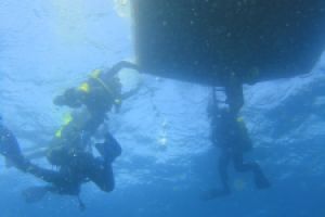 ISLA DE LAS PALOMAS - TARIFA - MARROQUI DE LEVANTE - Cádiz tarifa Spain foto 13