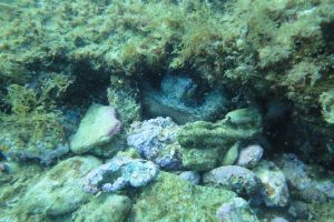 BARBATE - BARBATE - LOS BOQUETES - Cádiz barbate España foto 4