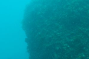 ISLA DE LAS PALOMAS - TARIFA - LAS CALDERAS - Cádiz TARIFA España foto 10