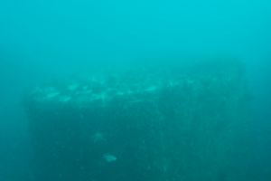 ISLA DE LAS PALOMAS - TARIFA - LAS CALDERAS - Cádiz TARIFA España foto 13