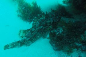 ISLA DE LAS PALOMAS - TARIFA - LAS CALDERAS - Cádiz TARIFA España foto 6