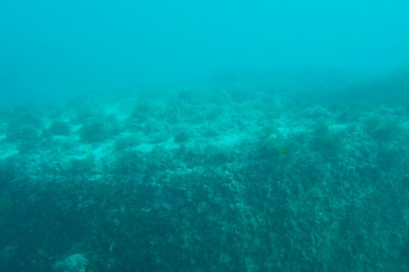 ISLA DE LAS PALOMAS - TARIFA - LAS CALDERAS - Cádiz TARIFA Spain