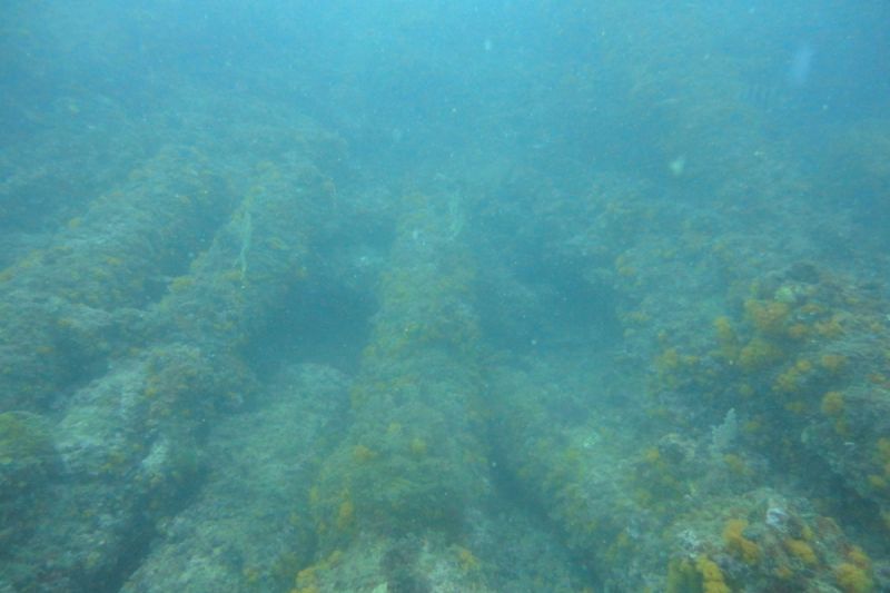 SANCTI PETRI - CHICLANA - LOS CAÑONES - Cádiz Chiclana de la Frontera Spain