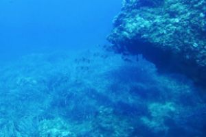 MALVÍN NORTE - IBIZA - Baleares Eivissa España foto 2