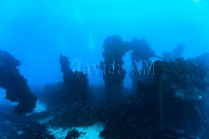 PECIO DON JUAN - TARIFA - Cádiz Tarifa España foto 2