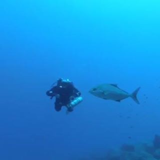 Jose Luis Rodriguez Amate