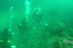 ISLA DE MOURO - Cantabria Camargo España foto 10