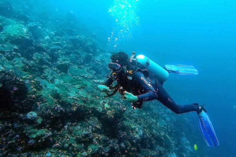 BATU BOLONG- LABUAN BAJO-KOMODO- INDONESIA - West Nusa Tenggara LABUANHBAJO Indonesia