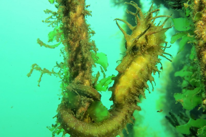 PLAYA BALTAR - Pontevedra Sanjenjo España