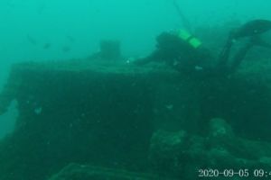 CABO DE PALOS, NARANJITO - Murcia Cabo de Palos España