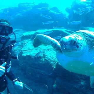 Nuria Carrasco Holgado