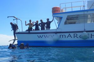 OFERTA DOBLE SALIDA DESDE BARCO EN TARRAGONA Foto 4