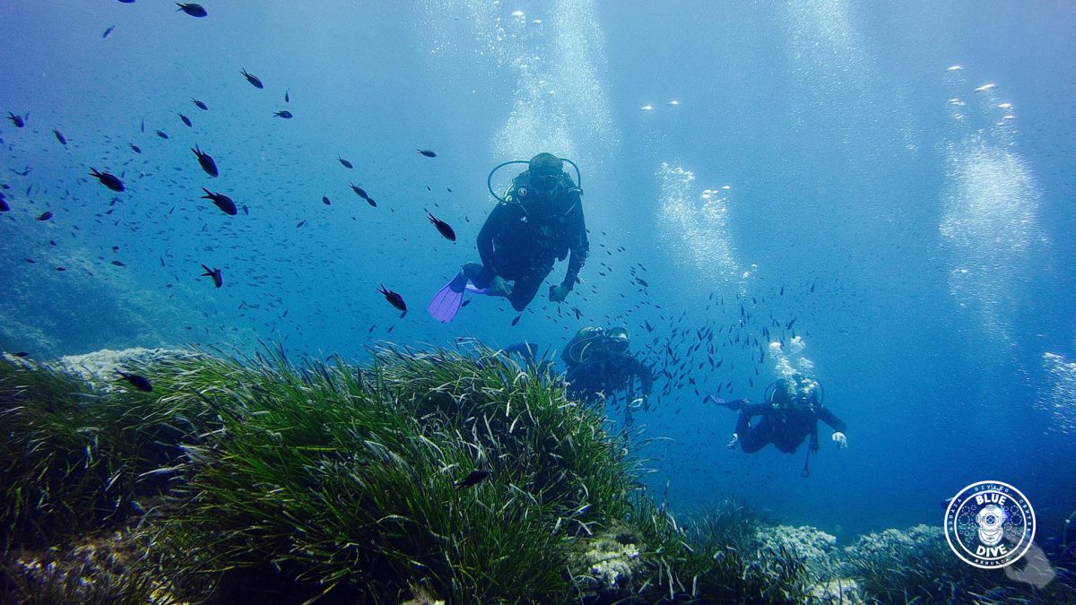 Centro de Buceo Blue Dive Menorca Es Mercadal