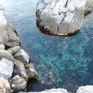 Doñana Dive