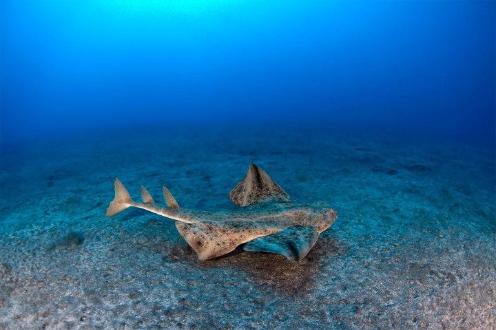 GRAN CANARIA - SARDINA DEL NORTE - Las Palmas Sardina del Norte Spain