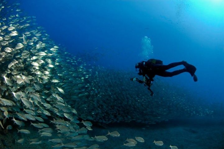 GRAN CANARIA- ARINAGA - EL CABRóN - Las Palmas Agüimes Spain