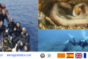 OdySea - Diving Center Foto 1