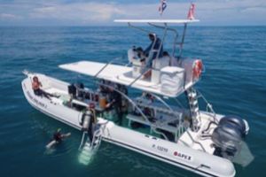 Custom built dive RIB boats from 6 up to 12 meters