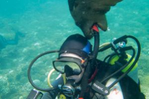 LOBERA CALA SUR- LA PAZ- BAJA CALIFORNIA - Baja California El Centenario Mexico