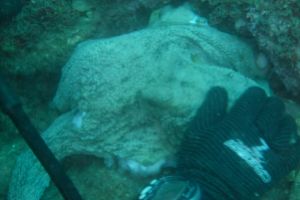 LAS TERMAS- CABO LA NAO- ESPAÑA - Alicante Cabo La Nao Spain