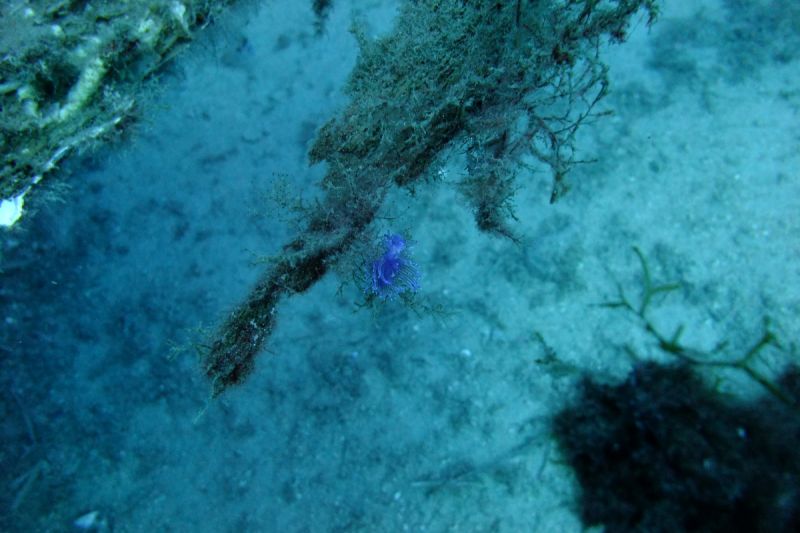 EL FRAILE- AGUILAS- ESPAÑA - Murcia Aguilas Spain