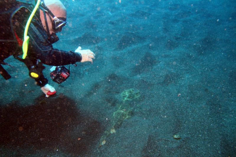 EL HIERRO - LA RESTINGA - EL BAJON - Santa Cruz de Tenerife La Restinga Spain