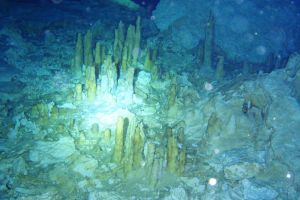 RIVIERA MAYA, CHAC-MOOL - Quintana Roo CENOTE CHAC MOOL México foto 2