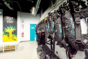 Macaronesian Divers Foto 10