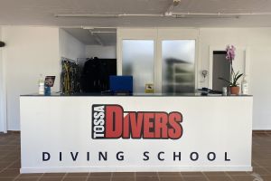 TossaDivers Foto 4
