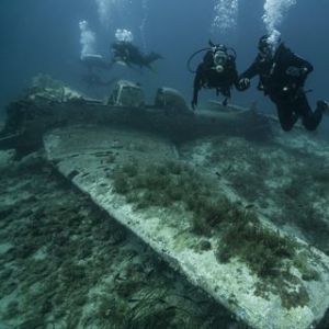 Guillermo Rodríguez López